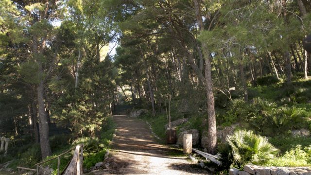 Parco urbano di Misericordia